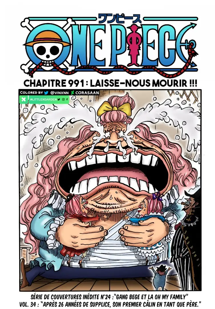 Scan One Piece 991